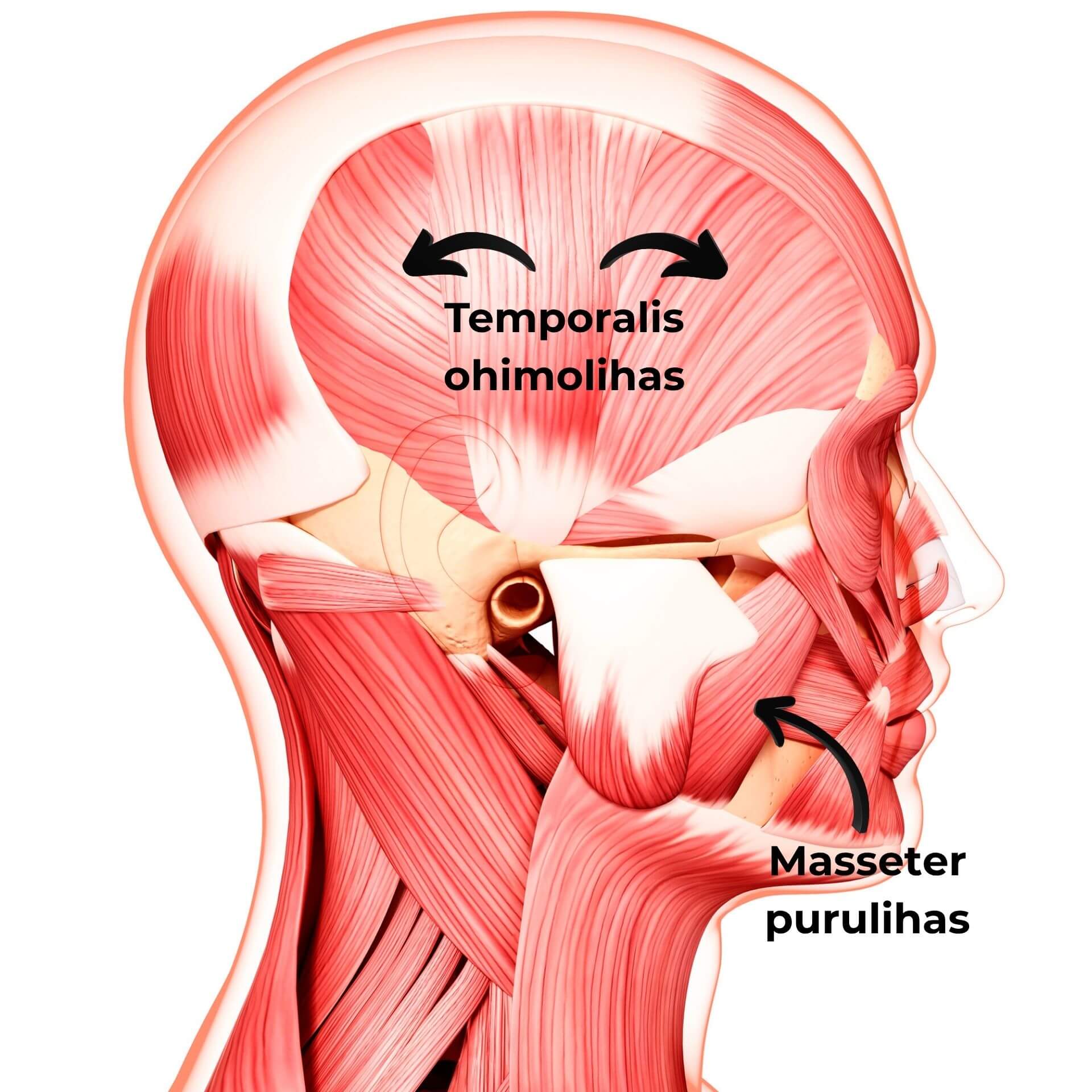 Kasvopilates purentalihaksille - Image 2